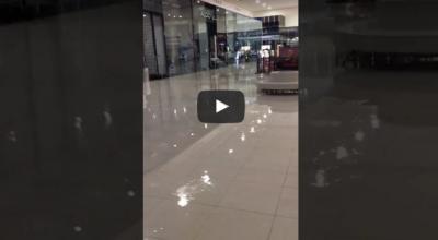 تعرف على سبب.. إغلاق أضخم مول بالطائف (فيديو)