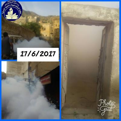 القباطي تقوم بحملة لمكافحة البعوض بتعز على حسابها الخاص