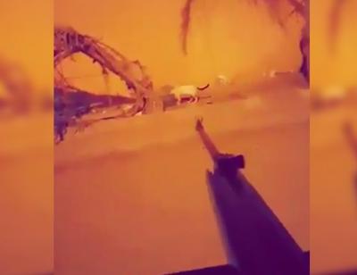 سفاح يظهر في شوارع جدة.. ومغردون يطالبون بمحاسبته