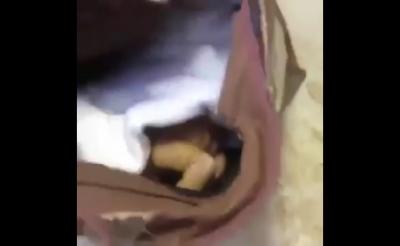 بالفيديو: سعوديون يعثرون على طفل «لقيط» كان بداخل حقيقة على الرصيف