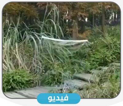 أحدث اختراع صيني.. قماش خاص يجعل الشخص غير مرئي (فيديو)