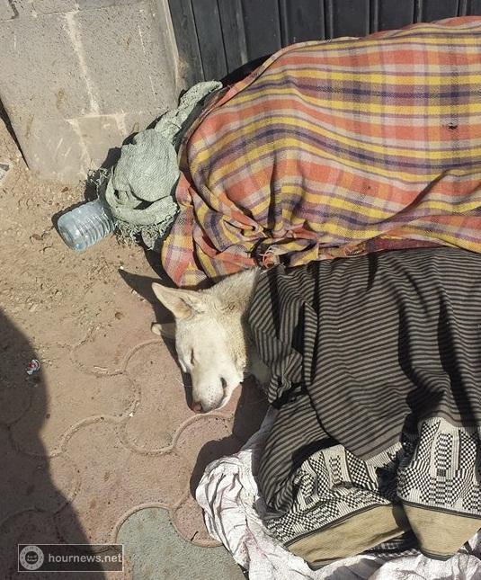 شاهد .. ماذا فعل هذا المتشرد في أحد أزقة صنعاء (صور بدون عنوان !)