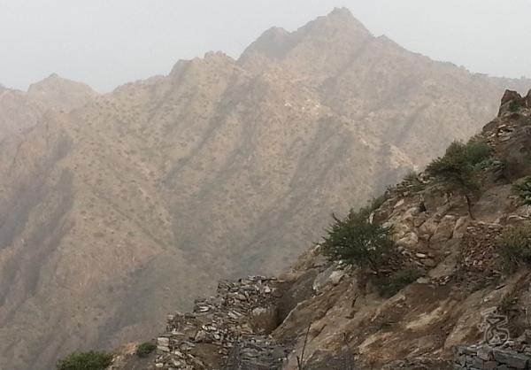 ضربة موجعة تتلقاها جماعة الحوثي اليوم في هذه الجبهة !
