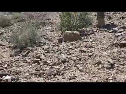 معلومات خطيرة عن لغم حوثي خطير زرعوه في طريق حراس الجمهورية بالليزر ومموه ويتم تفجيره عن بعد (فيديو)