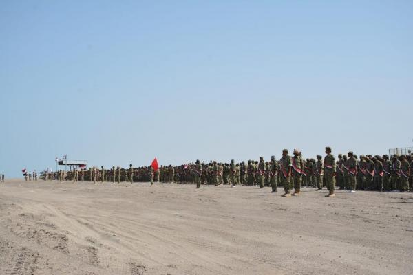 تصريحات خطيرة للقوات المشتركة في جبهة الساحل الغربي.. تؤكد نيتها القيام بهذه المفاجئة!