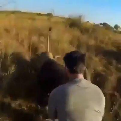  فيديو عجيب ورهيب..  لقاء الاصدقاء