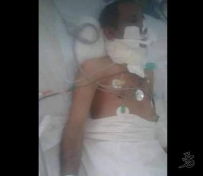 أسد يفترس مدرّبه في حديقة الحيوان بصنعاء وأسرته تناشد لإنقاذه من الموت