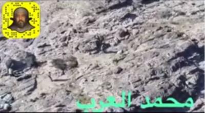 محمد العرب ينشر قصة بطل من صنعاء قال انه: لو لم ينتفض من صنعاء إلا هو لكفاهم 