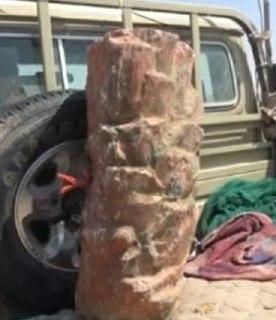 جماعة الحوثي تزرع عبوات ناسفة على شكل جذع نخلة في مزارع المواطنين بالقرب من كيلو 16 بالحديدة
