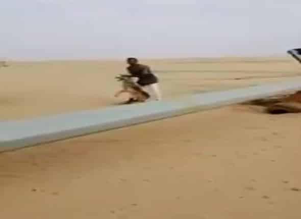 شاهد: سعودي يلقي القبض على ذئب حياً شرق الليث.. ويعد بإطلاق سراحه