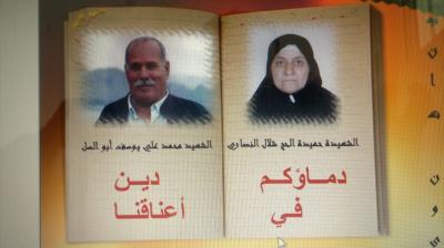 مذكرات ليست شخصية 21 ألنكسة..إنتكاسة أمة , والربيع العربي .. ميلادها