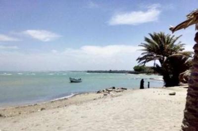 حقيقة سيطرة التحالف على مدينة الخوخة الساحلية
