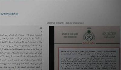 بالصورة"ويكليكس تنشر وثائق سعودية ضد روسيا ونظام الأسد
