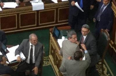 شاهد بالفيديو.. ضرب توفيق عكاشة بالجزمة في البرلمان المصري(الاسباب)