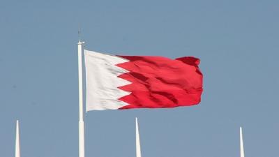 الأمم المتحدة تدعو البحرين إلى اتخاذ هذا الاجرى ضد الشيعة ؟