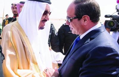هل يستجيب الملك سلمان ويعتذر للسيسي؟