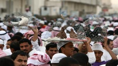 السعودية تحظر استيراد الطيور من 3 دول أوروبية