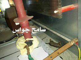 "فأر" يتسبب في خروج المحطة الكهربائية في عدن عن الخدمة لمدة 13 ساعة (صورة)