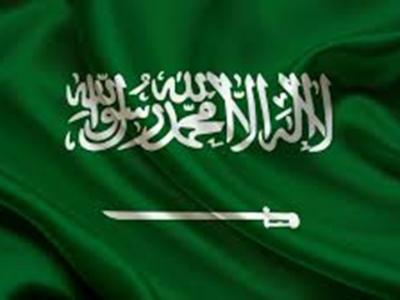 هذه تفاضيل محاكمة مصريين شقيقيين خططا لتفجير مسجد في السعودية