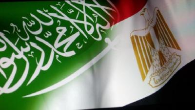 القاهرة والرياض تنسقان للقاء مرتقب بين السيسي وسلمان