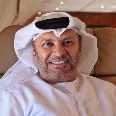لتأييده قرارات هادي الأخيرة.. قرقاش يشن هجوما عنيفا على المفكر النفيسي