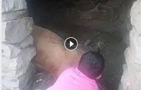 طفل يمني يبكي على بقرته المتوفاه وناشطون يعلنون استعدادهم للتبرع له (شاهد)