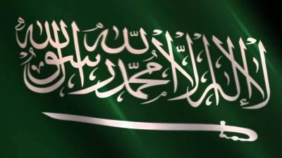 الأسباب السرية والمعلنة لقطع العلاقات السعودية القطرية..