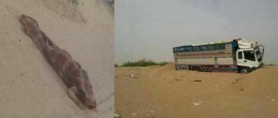 قطاع الطرق يقتلون مواطن في مأرب لغرض سرقة سيارته ( صوره)