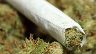 محاولات فاشلة لتهريب نصف طن من الحشيش المخدر إلى السعودية وابطالها يمنيين 