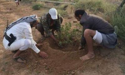 شاهد بالصورة : طارق صالح يغرس شجرة التفاح في المخاء ويوجه رسالة للحوثيين