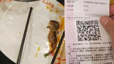 مطعم يخسر أكثر من مليار ريال يمني لهذه السبب البسيط