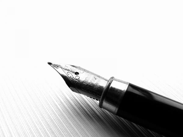 آية عبدالرحمن الهادي :الشيخ المخلافي بعيون حوثيه