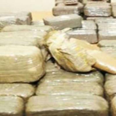 نبراس: السعودية  تتعرض إلى حرب عصابات من "مافيا المخدرات"