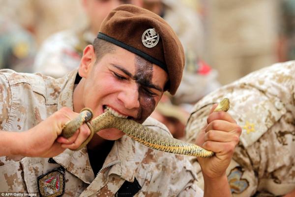 تعرف على أقوى خمسة جيوش في العالم بحلول 2030 م