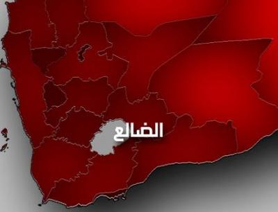 ارتفاع  عدد القتلى إلى 11 وإصابة 20 آخرين بعد فتح مسلح النار على مصلين أثناء أداء صلاة العيد بالضالع 