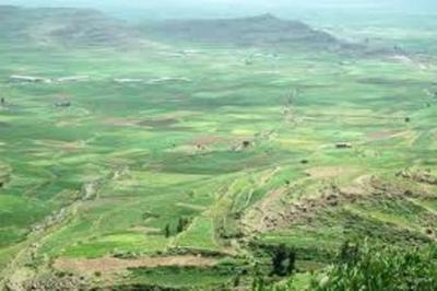 إدارة أمن جهران  بمحافظة ذمار تلقي القبض على قطاع طرق يرتدون زي الحرس الجمهوري  