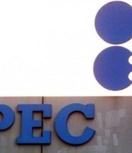 سعودي يطيح بمرشح إيران ويفوز بثاني أكبر مناصب أوبك