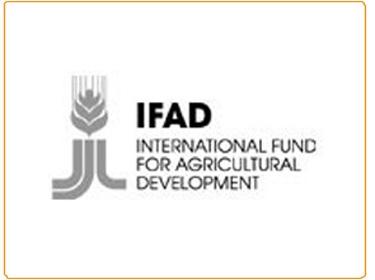 صندوق التنمية الزراعية يمنح اليمن 112 مليون دولار