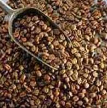 المؤتمر الصحفي عن البن العالمي يوم غدا بصنعاء