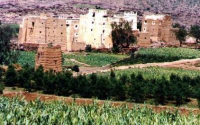 مزارع بصعدة يفارق الحياه جراء نهب مزرعته من قبل الحوثيين 