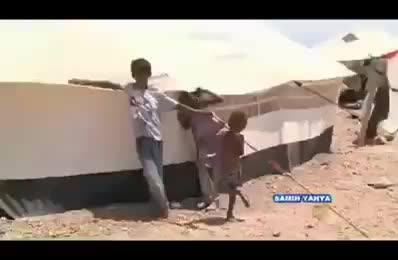 فيديو : اللاجئين اليمنيين بمخيم أبوخ شمال جيبوتي يعيشون مع الضباع والافاعي والعقارب السامة