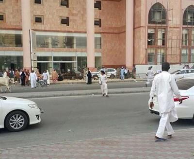 بالصور.. ثور هائج ينطح 7 أشخاص ويثير حالة من الفوضى والذعر في أوساط المارة!