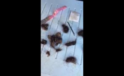 غواص سعودي يعثر على أعمال سحرية بداخلها صورة فتاة - فيديو بالتفاصيل