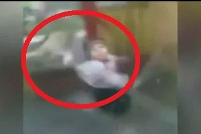 بالفيديو.. امرأة تنقذ طفلها من بين براثن أسد كاد أن يفتك به