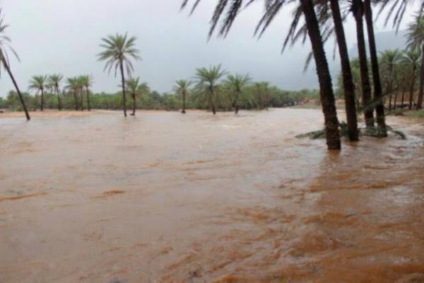 صور مروعة.. شاهد اثار الدمار الذي حل بجزيرة سقطرى جراء تلقيها ضرب من إعصار تشابالا