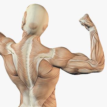 علامات تدل على أن جسمك مليء بالسموم!