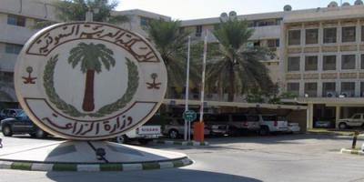 السعودية تكشف حقيقة دخول قهوة سامة من اليمن
