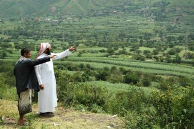 كلب مسعور يعض 17 امرأة ويخلق حالة طوارئ في إب