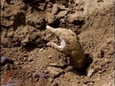 بالفيديو : رجل يخرج حياً من قبره ويدل الشرطة على قاتليه