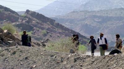 بي بي سي تحصل على أدلة تثبت قتال التحالف إلى جانب القاعدة